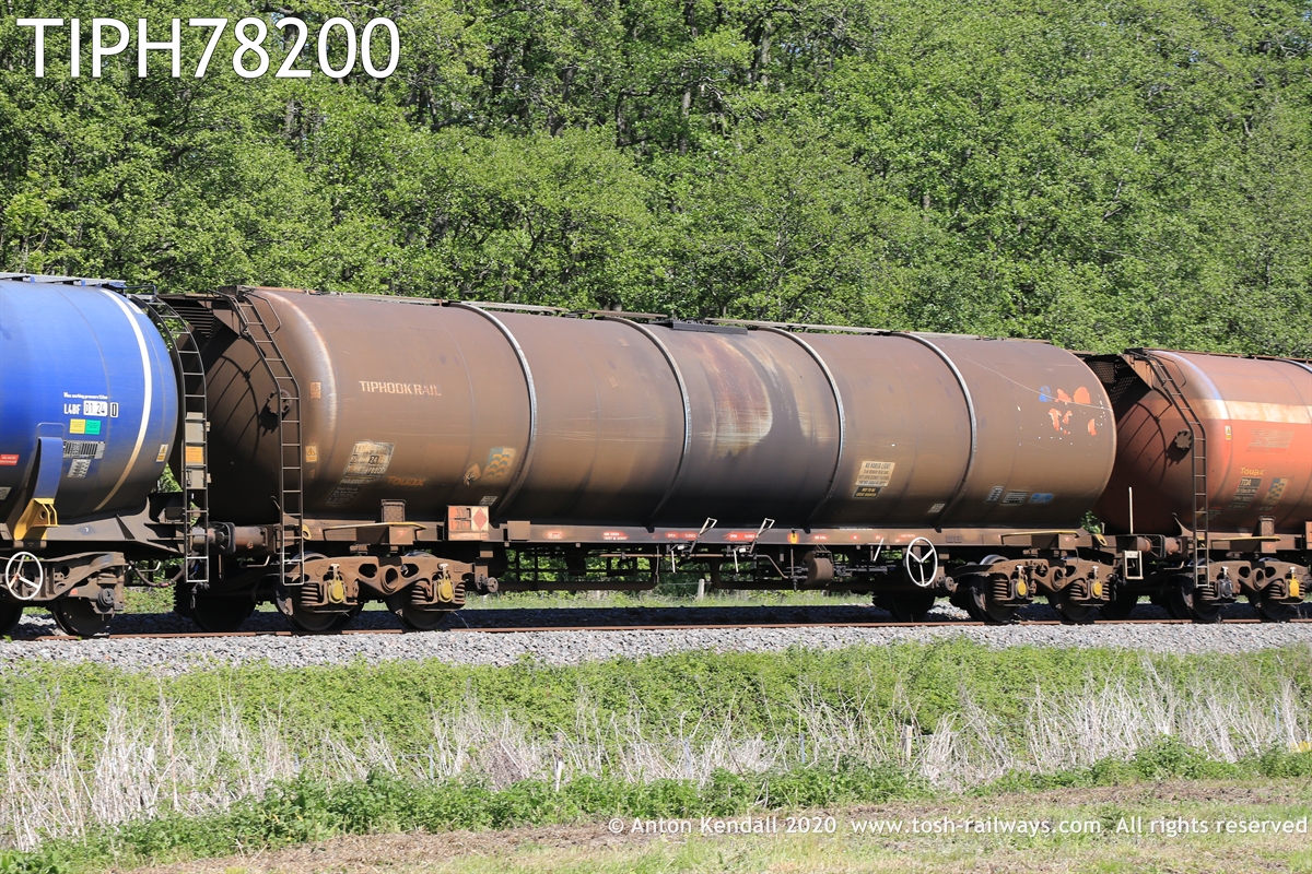 TIPH78200.JPG